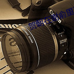 警惕网络信息安全风险，共建清朗网络空间