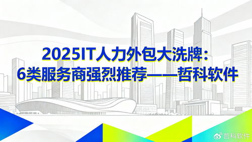 2025 IT人力外包大洗牌 六类值得强烈推荐的软件外包服务商