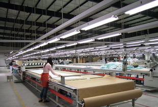 优质工厂成稀缺资源，服装加工与软件外包行业面临订单执行困局